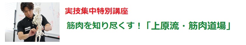 筋肉を知り尽くす！上原流・筋肉道場